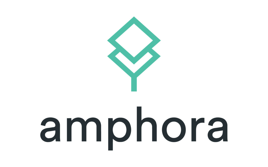 Amphora Financial Group